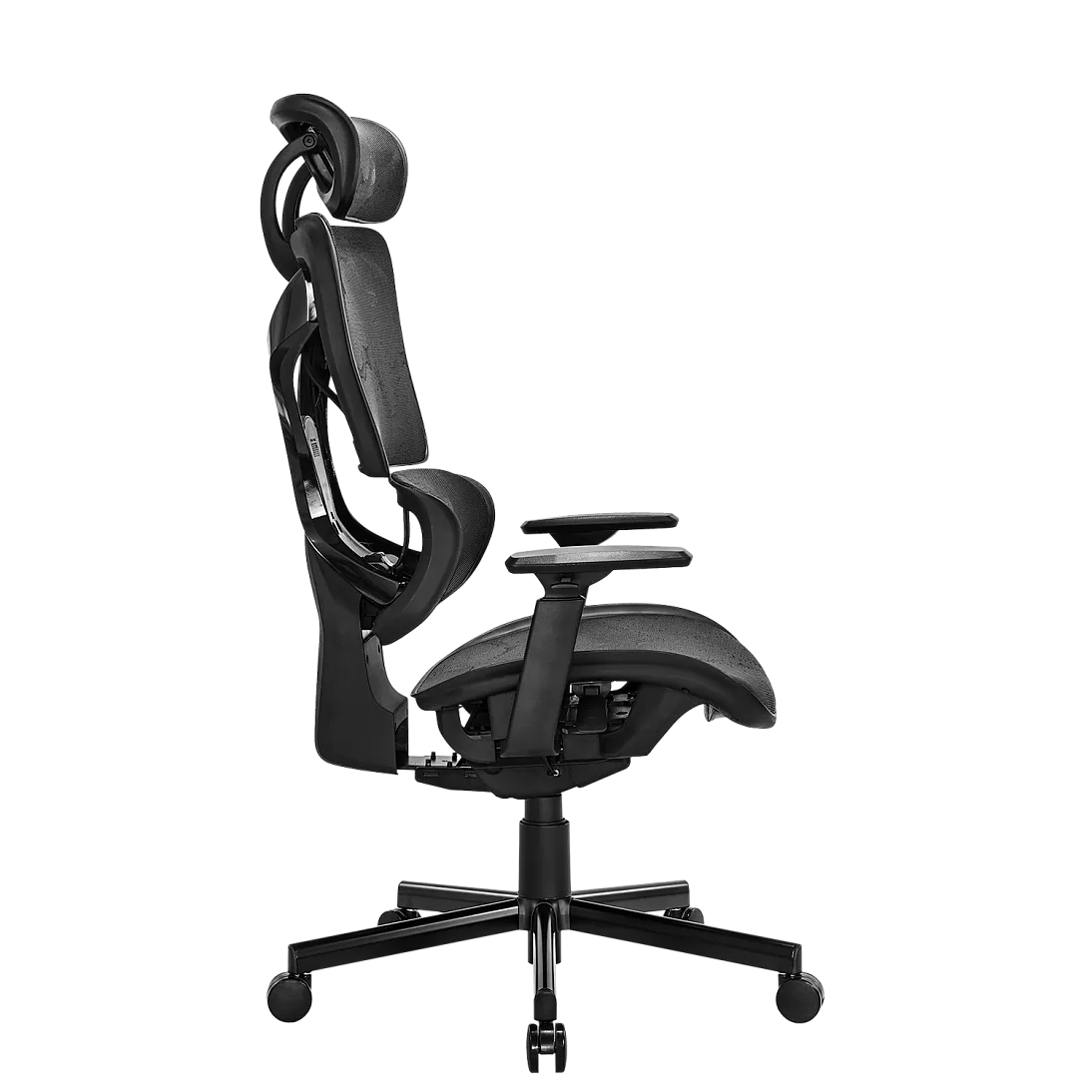 Freelancer K5, фото